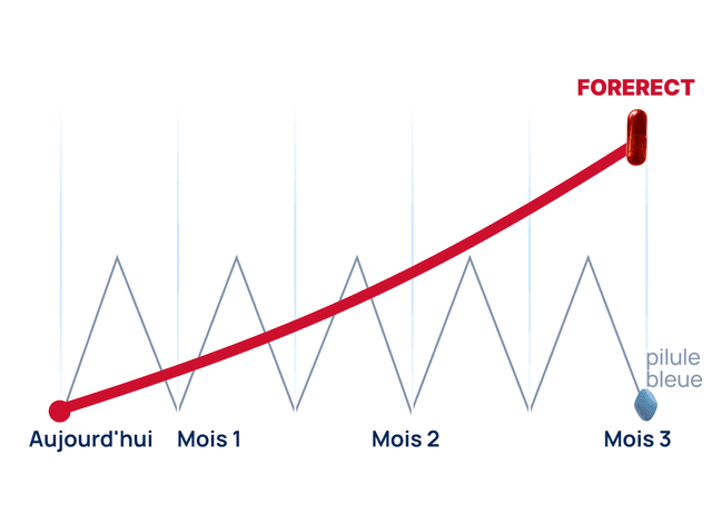Graphique d’évolution
