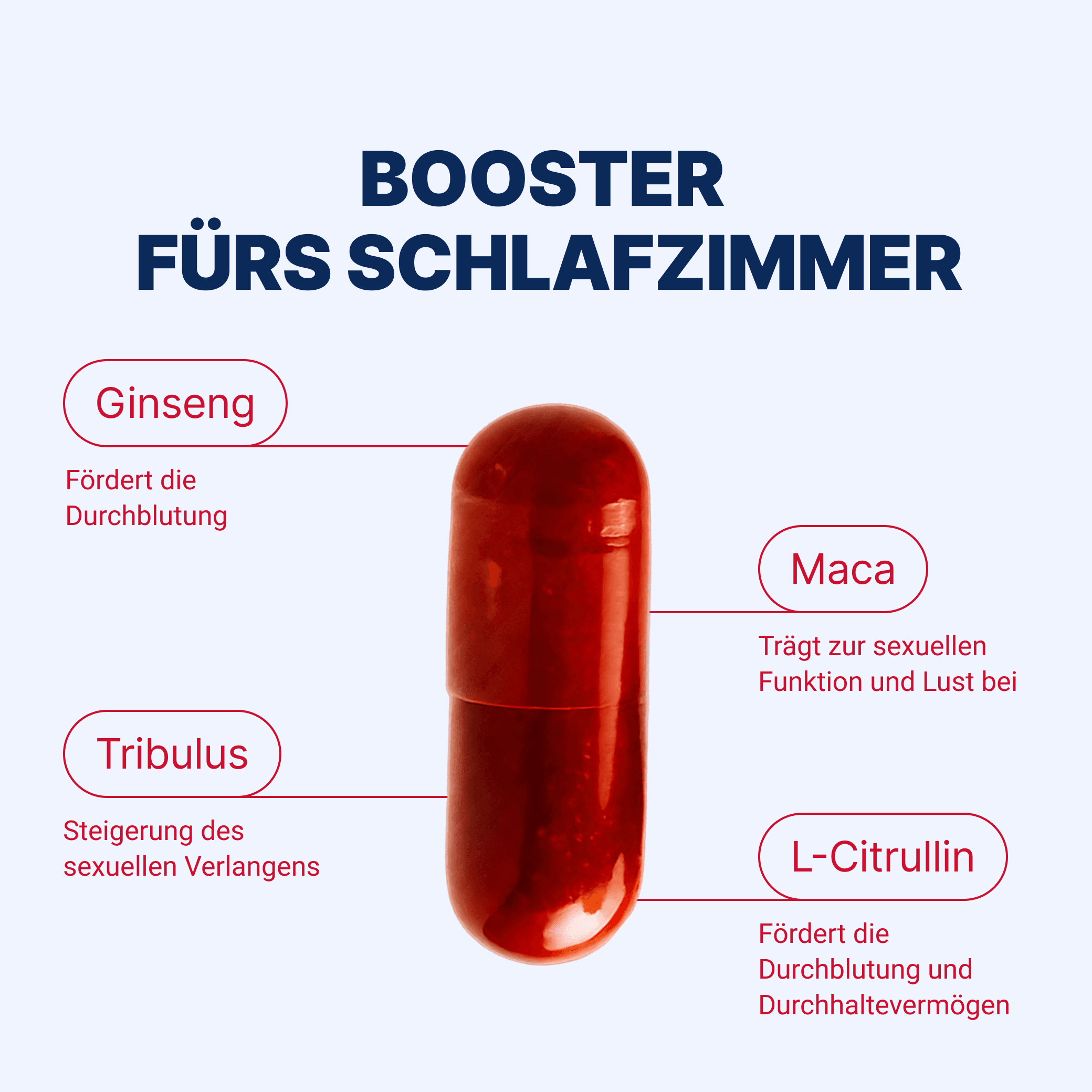 FORERECT® – Vorschaubild 3