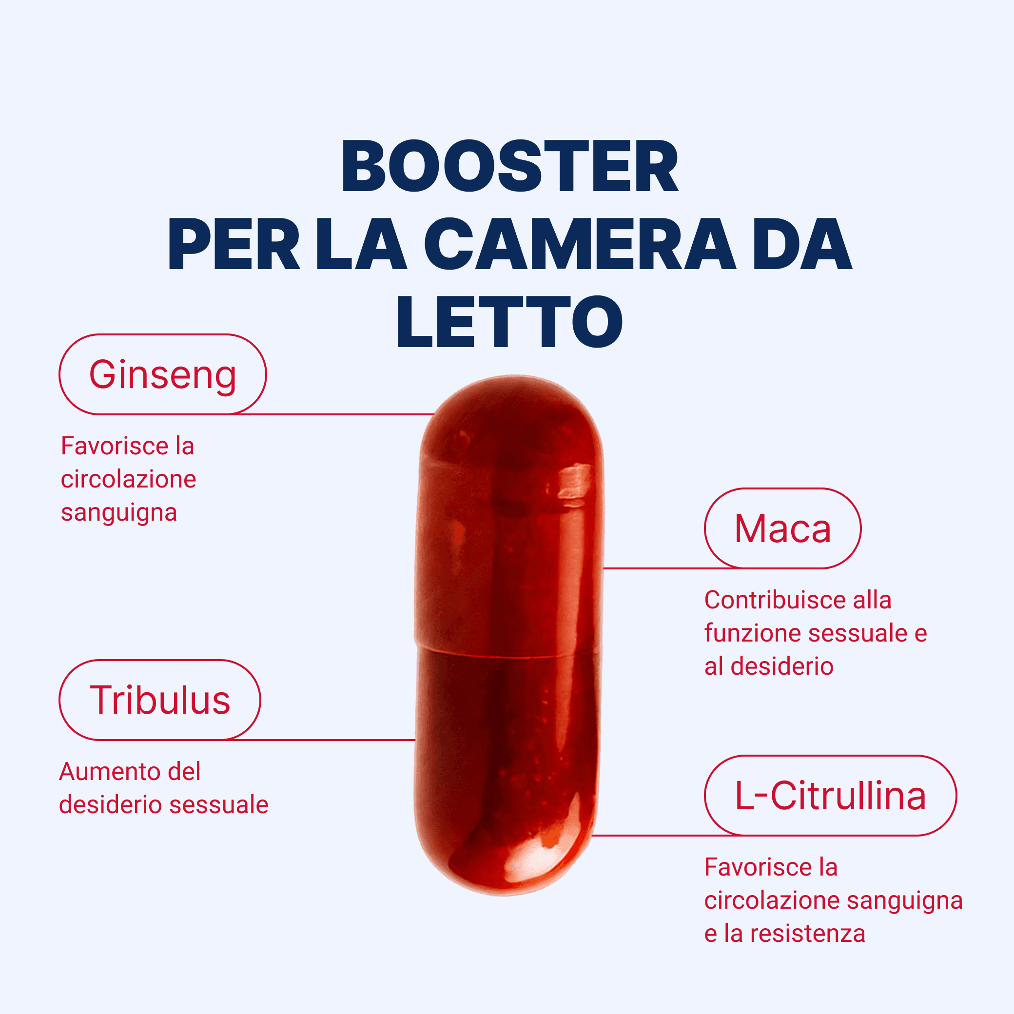 FORERECT® – miniatura 3