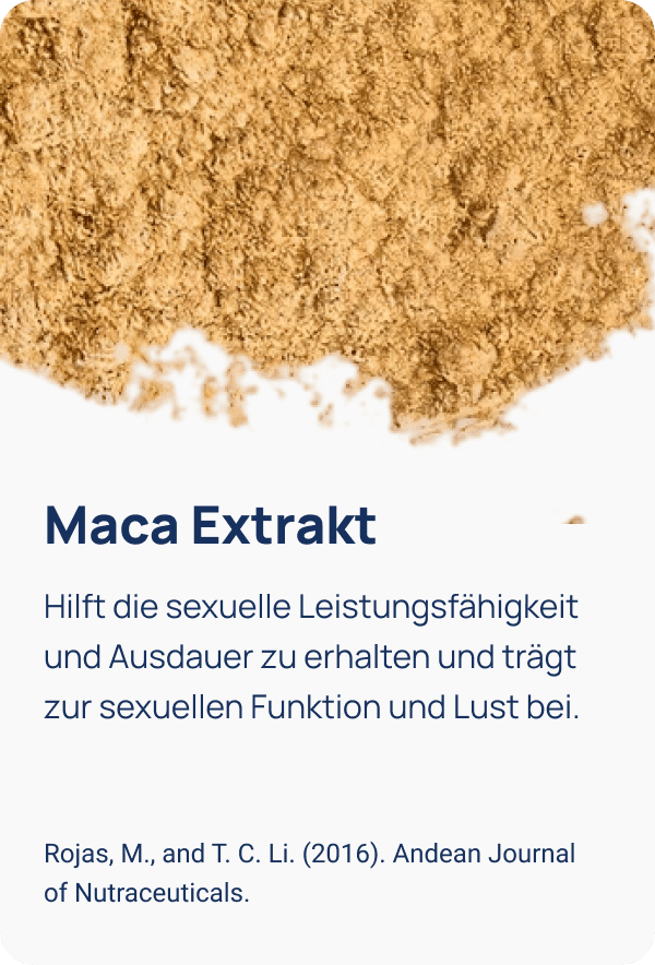 Abbildung 2