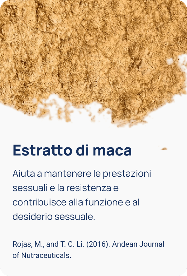 Illustrazione 2