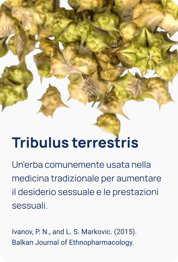 Illustrazione 3