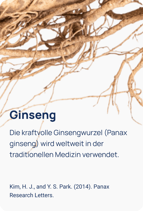 Abbildung 4