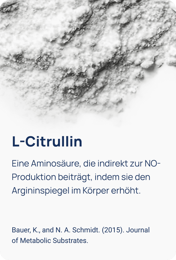 Abbildung 5