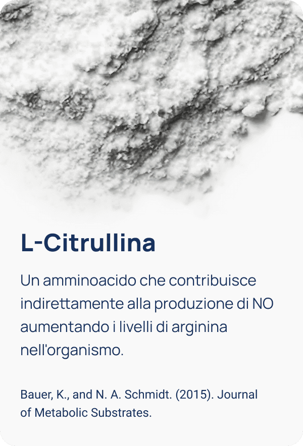 Illustrazione 5