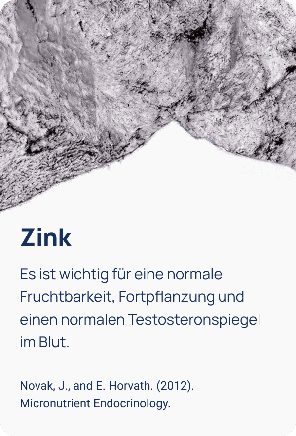 Abbildung 6