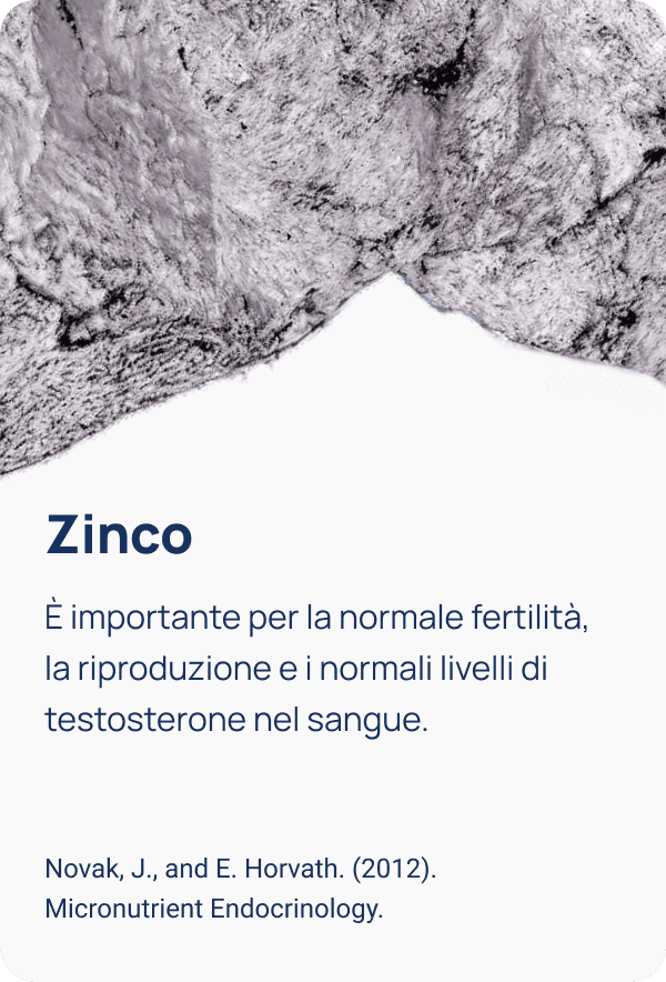 Illustrazione 6
