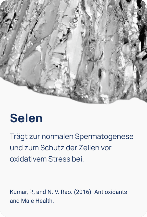 Abbildung 7