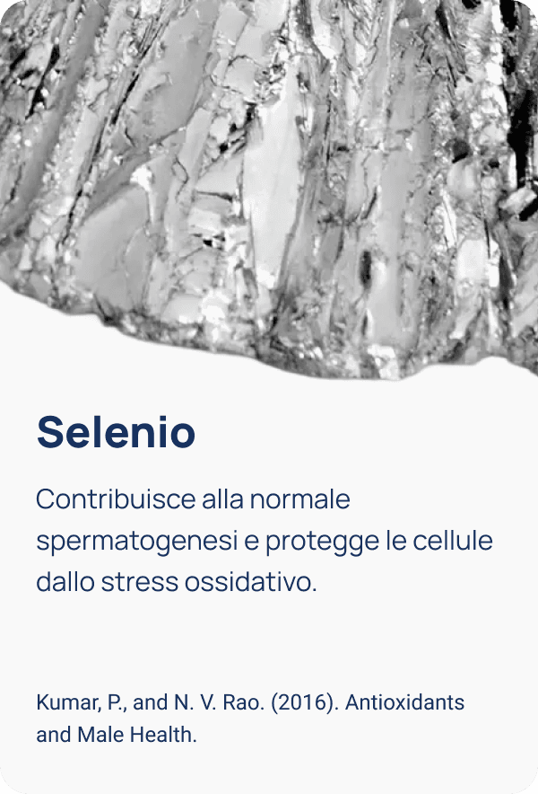Illustrazione 7